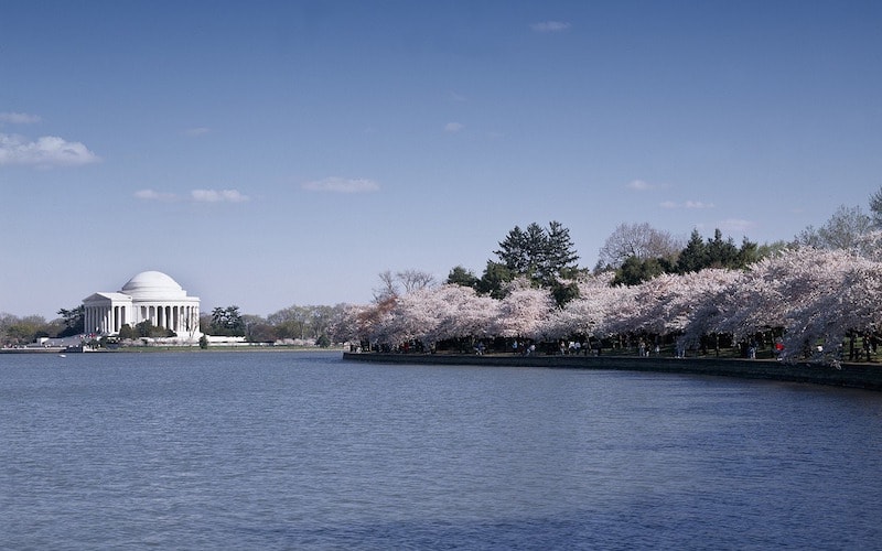 Le Jefferson Memorial lors du Cherry Blossom