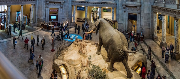 Le Musée d'histoire naturelle à Washington