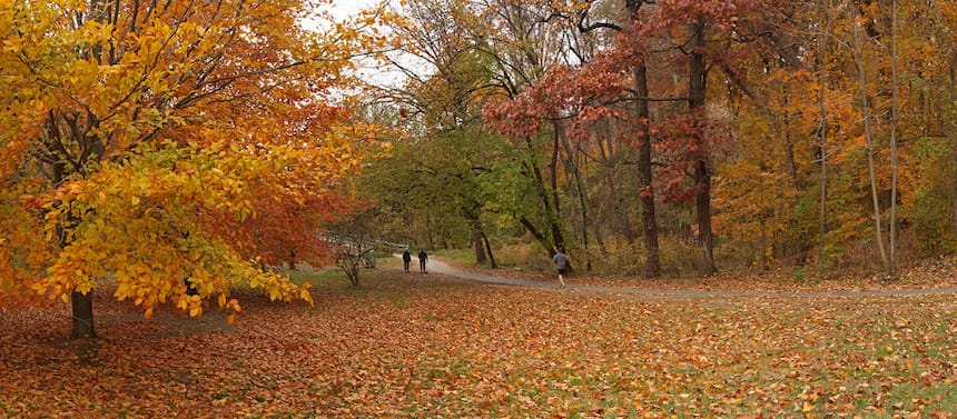 Rock Creek Park