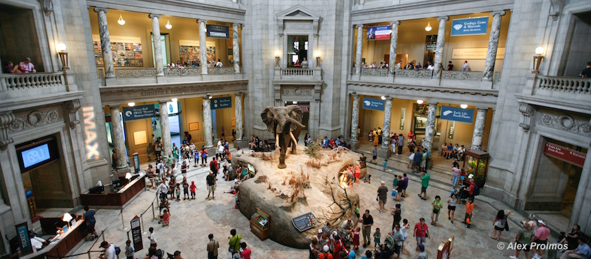 Musée d'Histoire Naturelle