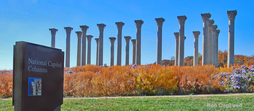National Arboretum