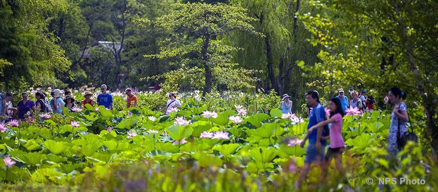 Kenilworth Park & Aquatic Garden	