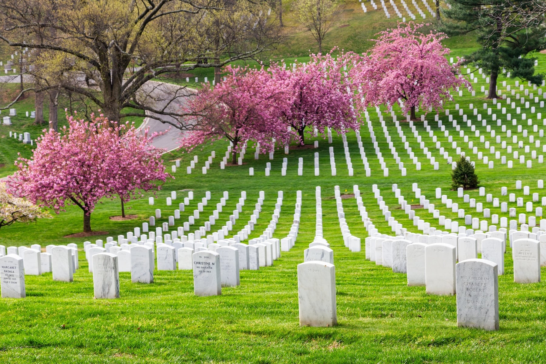 Cimetière d'Arlington